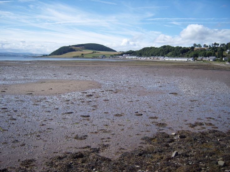 Low Tide 2010