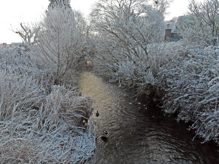 Avoch Burn in the frost.
