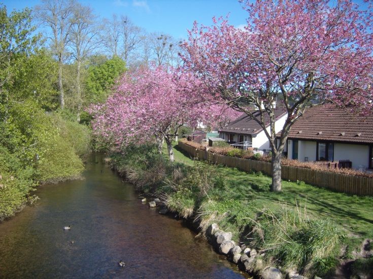 Avoch burn in the spring.