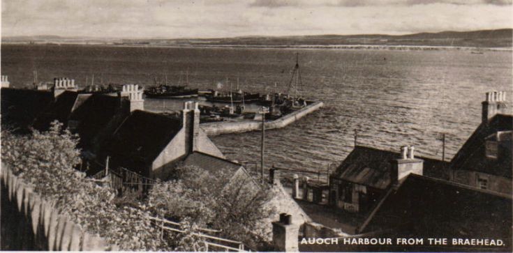 Avoch Harbour from the Braehead