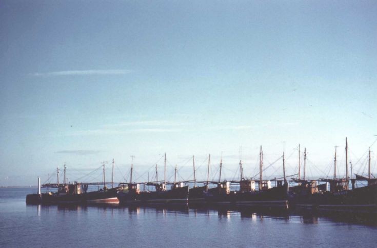 The Fleet 1960's