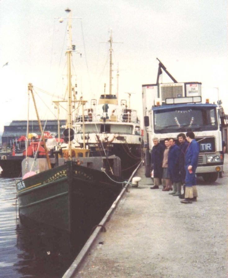 Zephyr INS6