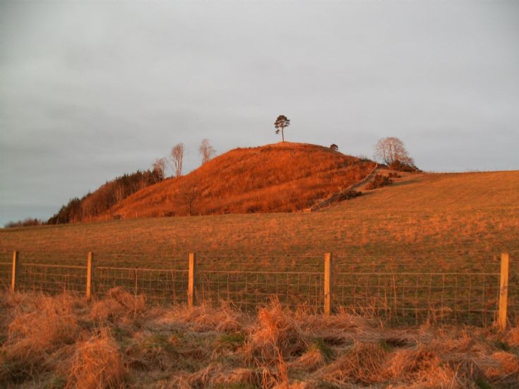 Sunrise at Ormond Hill