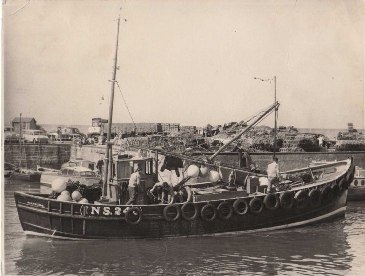 Rosehaugh INS 246