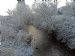 Avoch Burn in the frost.