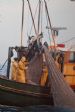 Zephyr Hauling the sprat trawl 